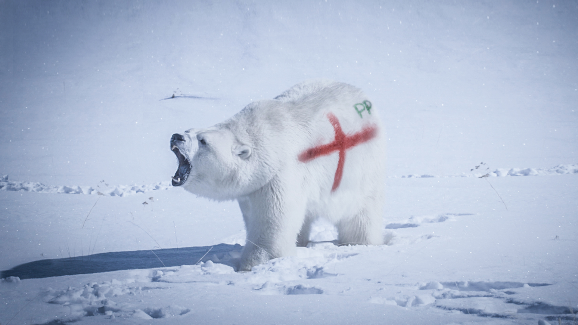 England' Til I Dye - Pitch